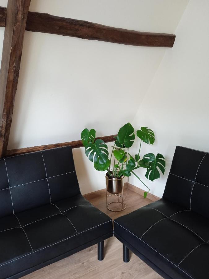 Albergue De Peregrinos Compostela Молинасека Екстериор снимка